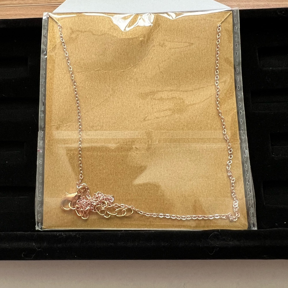 NWT Rose Gold Compass "Going" Places Pendant Necklace - Picture 4 of 6
